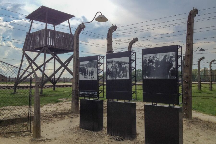 From Krakow: Auschwitz-Birkenau Private or Shared Tour - Leaving Krakow with a useful introduction