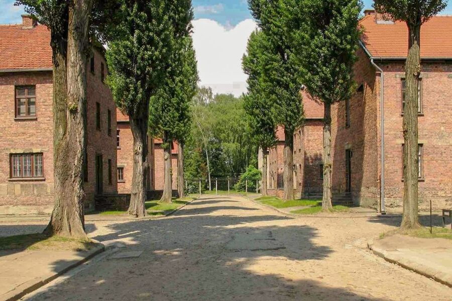 From Krakow: Auschwitz-Birkenau & Schindler's Factory Tour - Is $58 good value?