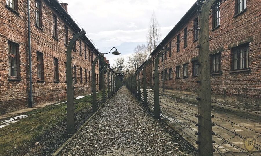 From Krakow: Auschwitz Birkenau Self-Guided Tour - Key points to know before booking