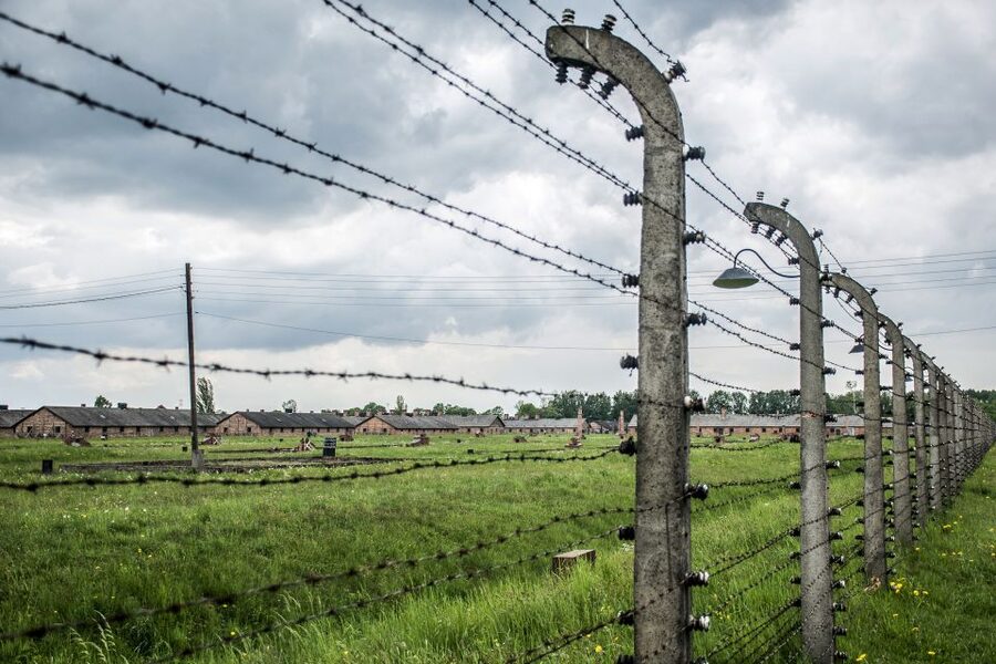 From Krakow: Auschwitz Birkenau Self-Guided Tour - Auschwitz II-Birkenau: scale and silence
