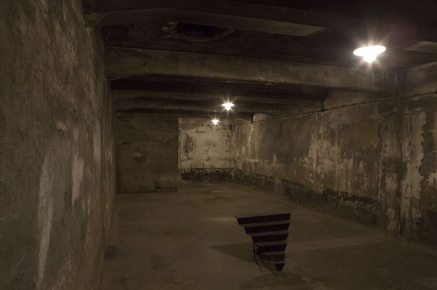 From Krakow: Auschwitz-Birkenau Tour - Auschwitz I: the first camp and its museum buildings