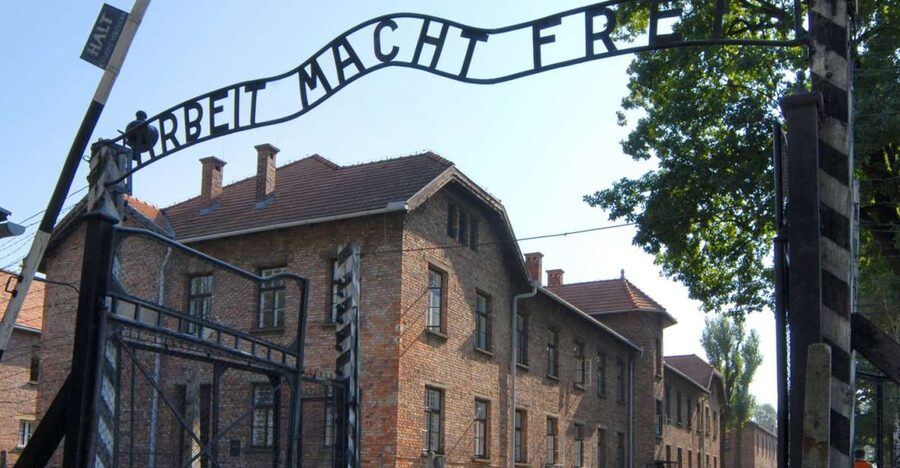 From Krakow: Auschwitz-Birkenau Tour - Who should book this experience?