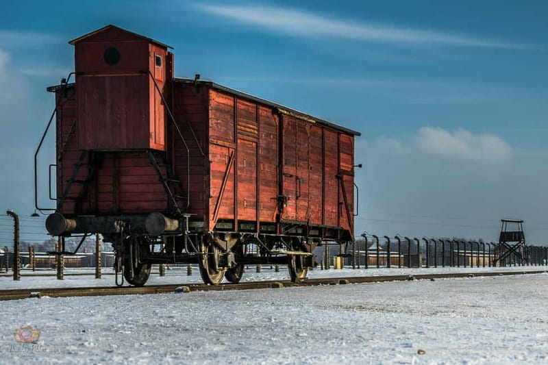 From Krakow: Auschwitz-Birkenau Tour with Transportation - Judenrampe and the first look at the site