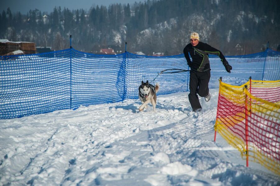 From Krakow: Dogsled Ride in Tatra Mountain - Leaving Krakow for the Tatra Mountains