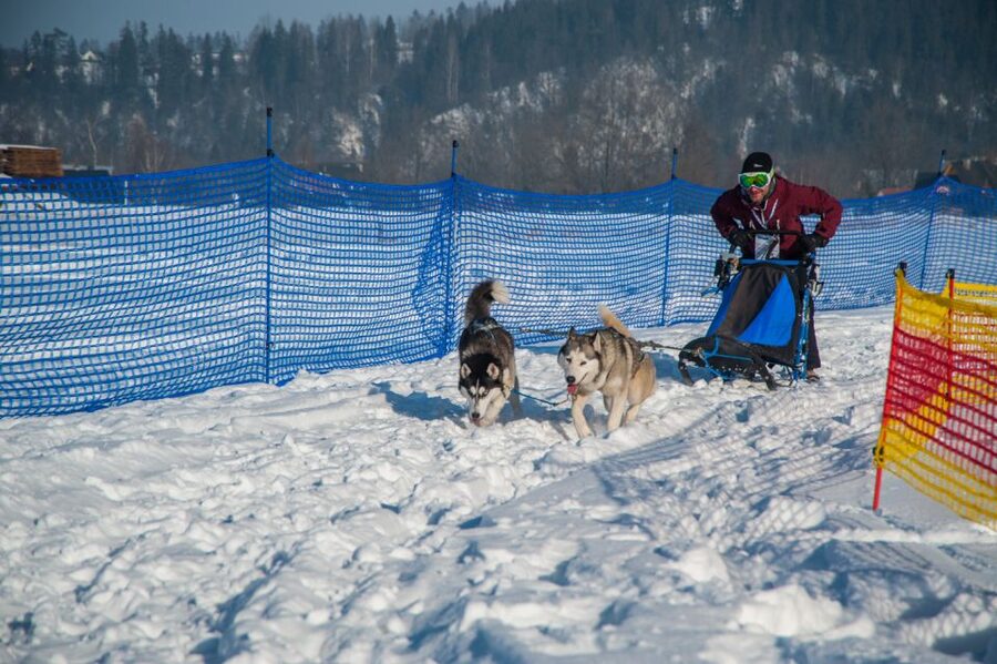 From Krakow: Dogsled Ride in Tatra Mountain - The 2-kilometer run through Chocholowska Valley