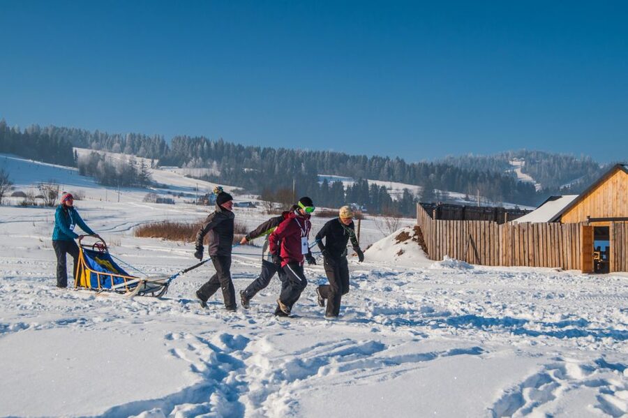 From Krakow: Dogsled Ride in Tatra Mountain - Clothing, comfort, and restrictions