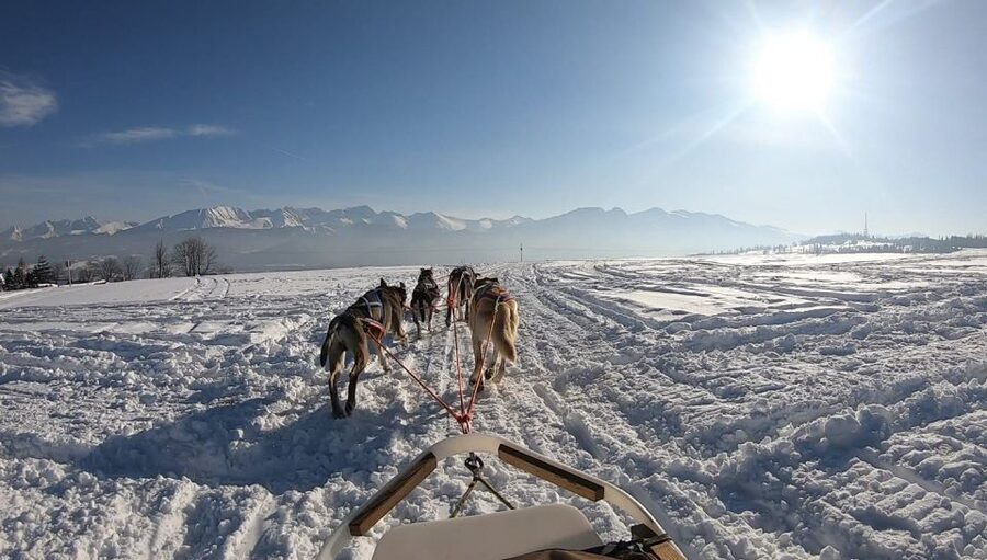 From Krakow: Dogsled Ride in Tatra Mountain - Weather can change the whole experience