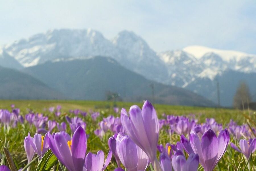 From Krakow: Full-Day Tour of Zakopane and Tatra Mountains - First impressions of Zakopane