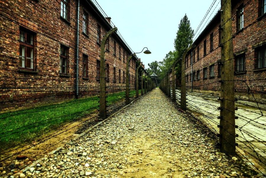 From Krakow: Guided Auschwitz-Birkenau Group Tour by Minivan - Key points to know before booking