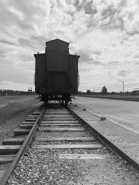 From Krakow: Guided Auschwitz-Birkenau Group Tour by Minivan - Who should book this tour?