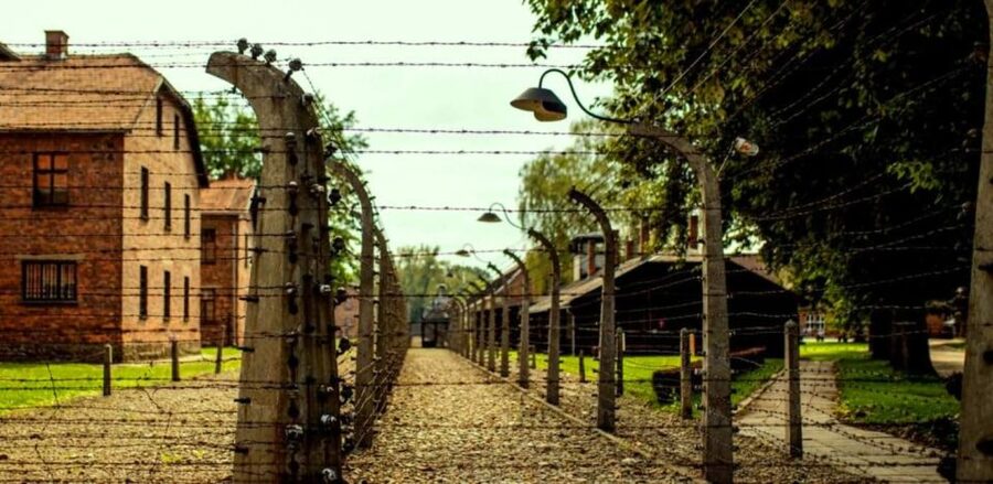 From Krakow: Guided Auschwitz-Birkenau Group Tour by Minivan - Why this visit matters