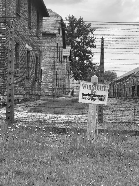 From Krakow: Guided Auschwitz-Birkenau Group Tour by Minivan - What the guide adds to the day