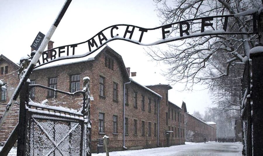 From Krakow: Guided Auschwitz-Birkenau Group Tour by Minivan - Timing, cancellation, and booking details