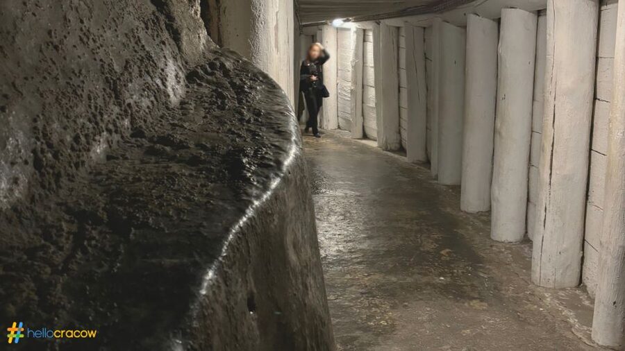 From Krakow: Guided Tour in Wieliczka Salt Mine - Underground lakes and the changing sense of space