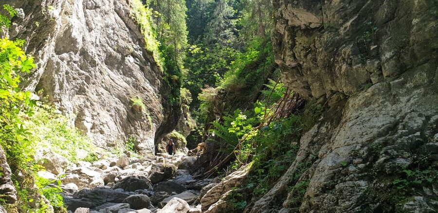 From Krakow: Hiking in the Tatra Mountains and Thermal baths - Three hours at Chocholowska Thermal Baths