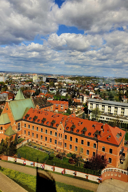 From Krakow: Lagiewniki Sanctuary of The Divine Mercy Tour - Why the Divine Mercy visit feels different from a standard church tour