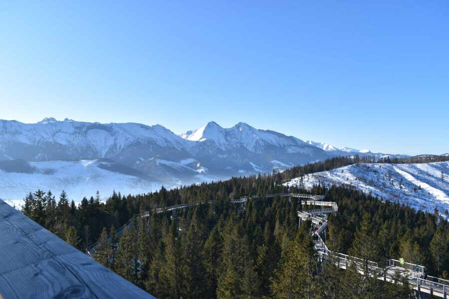 From Krakow: Morskie Oko and Slovakia Treetop Walk - Why this day trip works