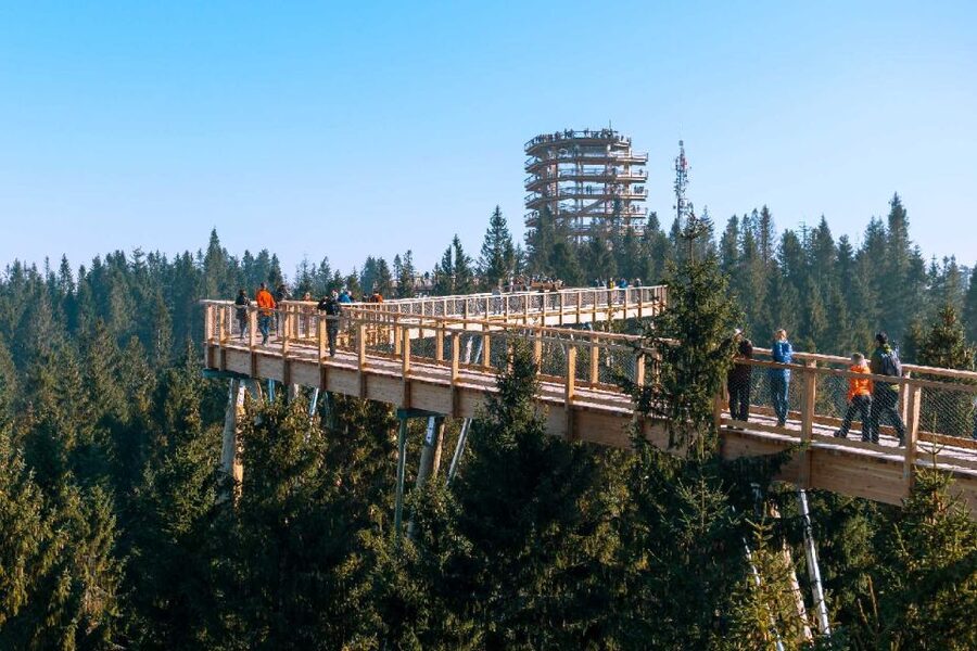 From Krakow: Morskie Oko and Slovakia Treetop Walk - The timing challenge: two big sights in 11 hours