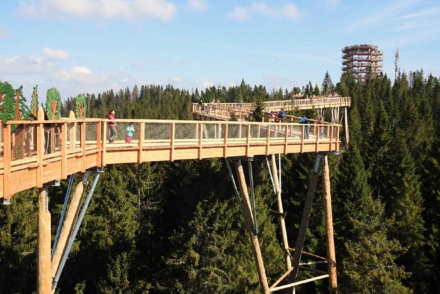 From Krakow: Morskie Oko and Slovakia Treetop Walk - Is $251 per person a fair price?