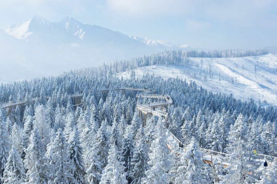 From Krakow: Morskie Oko and Slovakia Treetop Walk - My verdict on the two-stop mountain day