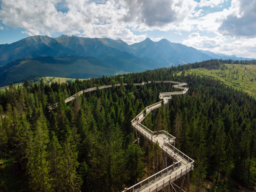 From Kraków: Slovakia Treetop Walk and Thermal Baths - Who will enjoy this day most