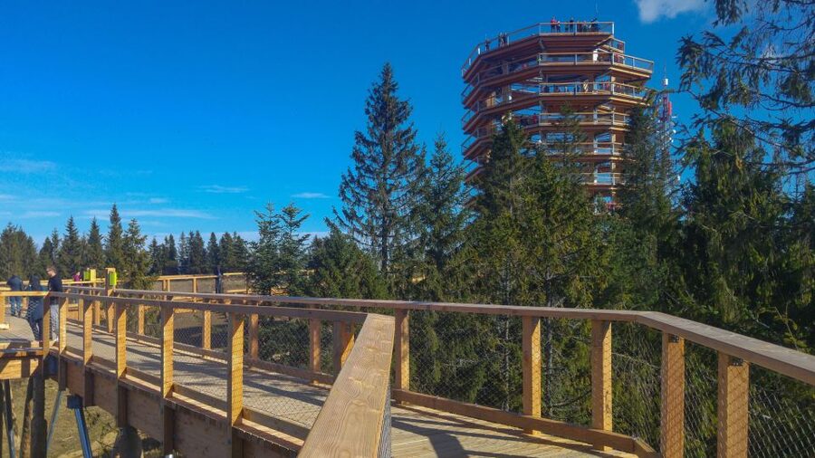 From Krakow: Slovakia Treetop Walk, Zakopane & Thermal Spa - Why this Krakow day trip works