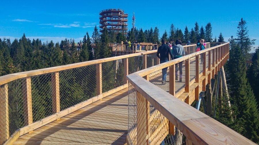 From Krakow: Slovakia Treetop Walk, Zakopane & Thermal Spa - What $318 means in practical value