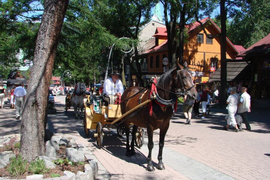 From Krakow: Slovakia Treetop Walk, Zakopane & Thermal Spa - The 2.5-hour ride from Krakow