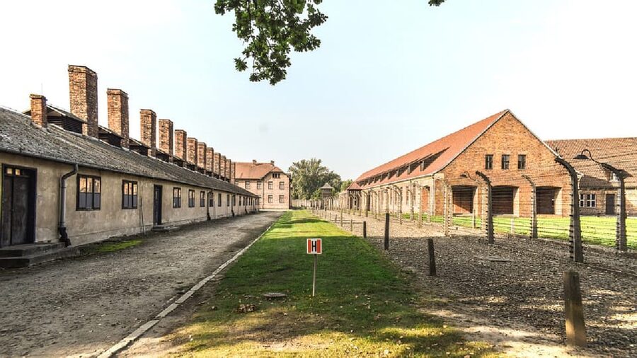 From Krakow: Wieliczka Salt Mine & Auschwitz Guided Trip - Getting out of Krakow with pickup and a driver