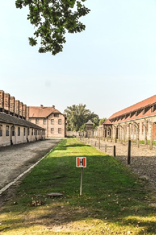 From Krakow: Wieliczka Salt Mine & Auschwitz Guided Trip - The transfer from Auschwitz to Wieliczka