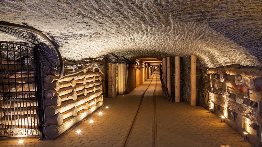 From Krakow: Wieliczka Salt Mine & Auschwitz Guided Trip - Who should book this Krakow day trip?