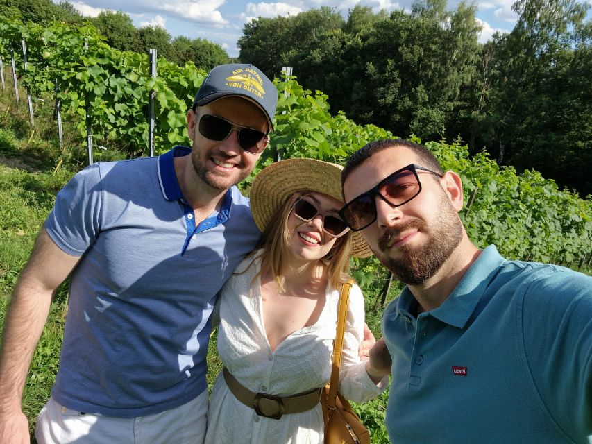 From Krakow: Wine Tasting at Vineyard - What happens during the three-hour visit