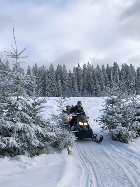 From Krakow: Zakopane Snowmobile NIGHT Ride, Bonfire, - Oscypek, mulled wine, and a real campfire