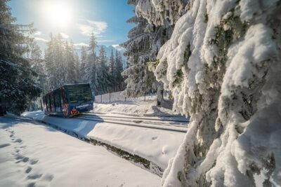 Zakopane Tour, Hot Springs, Cable Car, Local Tasting