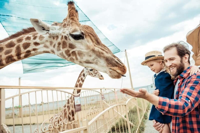 From Krakow: Zoo Trip with Private Luxury Transfer - Krakow Zoo in the woods