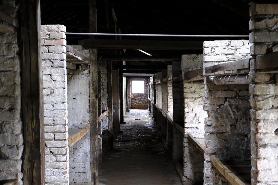 From Warsaw: Auschwitz-Birkenau Guided Tour with Fast Train - What the $181 price includes