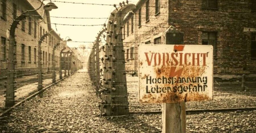 From Warsaw: Auschwitz-Birkenau Small Group Tour with Lunch - Key points to know before booking