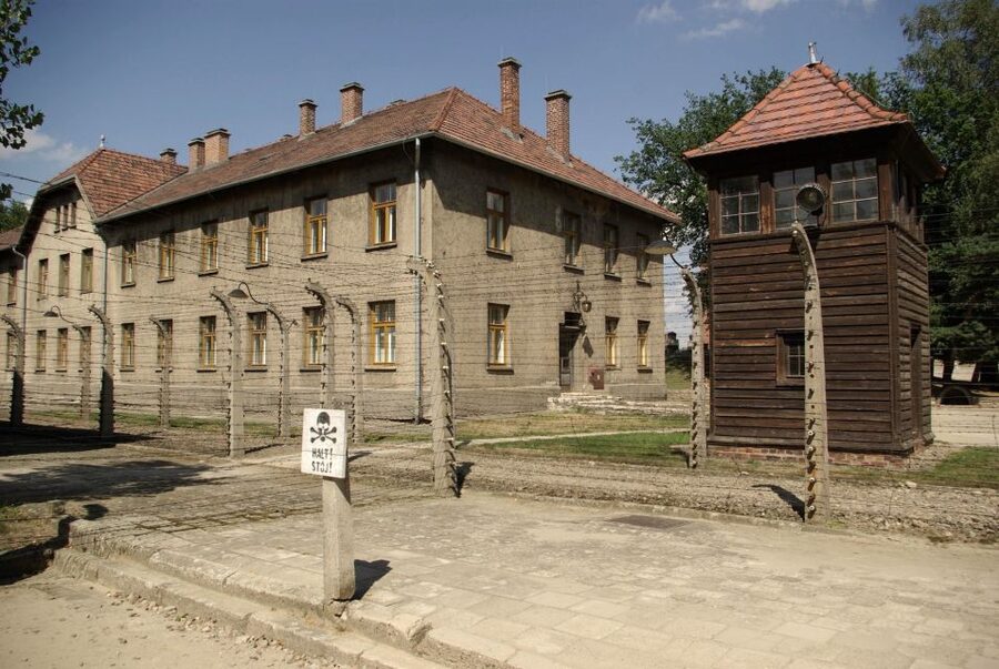 From Warsaw: Auschwitz-Birkenau Small Group Tour with Lunch - A 3.5-hour guided visit