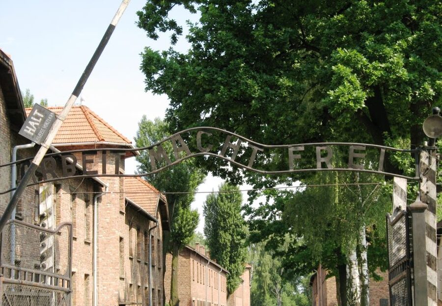 From Warsaw: Auschwitz-Birkenau Small Group Tour with Lunch - Is $350 a fair price?