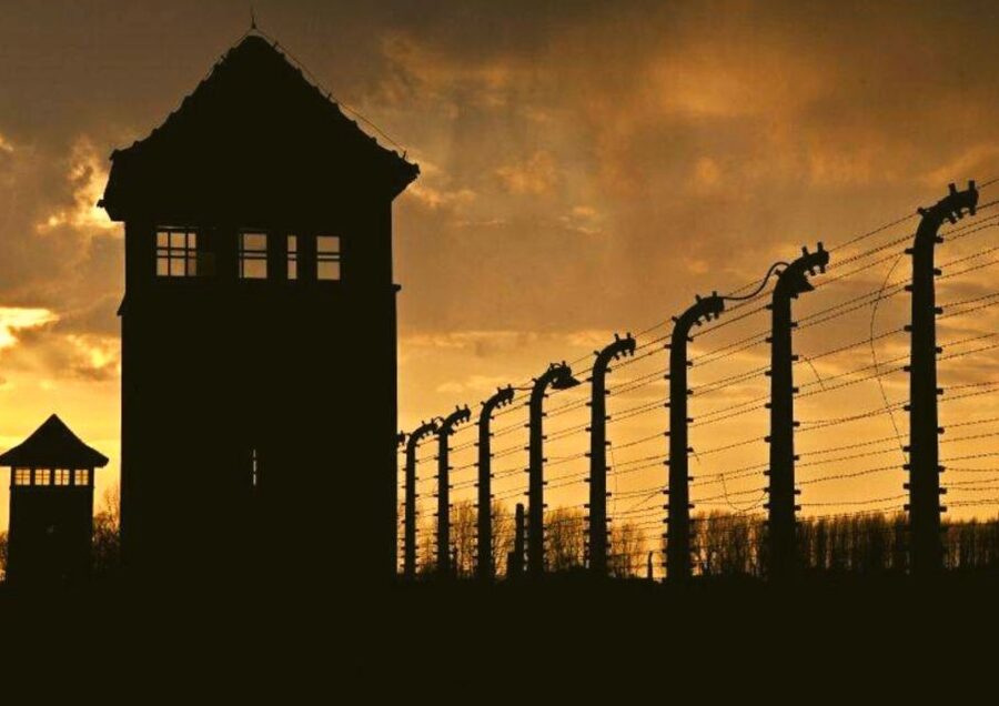 From Warsaw: Auschwitz-Birkenau Small Group Tour with Lunch - Who should book this Auschwitz tour?