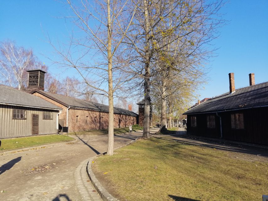 From Warsaw: Auschwitz-Birkenau Tour by Car - Key points at a glance