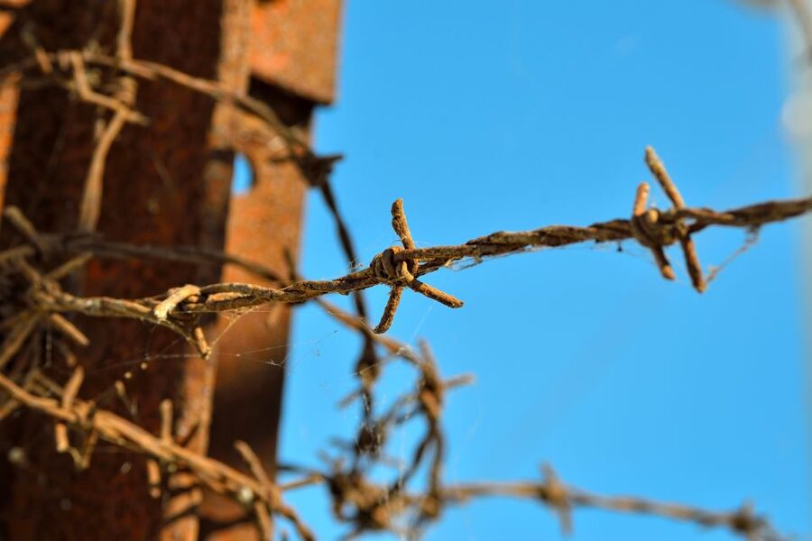 From Warsaw: Auschwitz-Birkenau Tour by Car - A serious subject needs the right pace