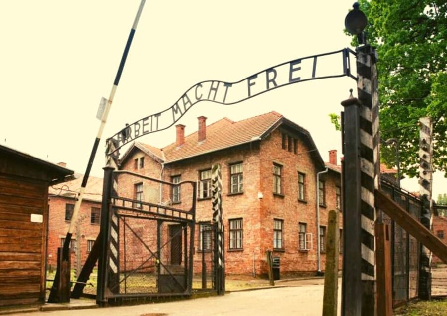 From Warsaw: Auschwitz Day Tour by Private Car with Lunch - Who should choose this day trip?