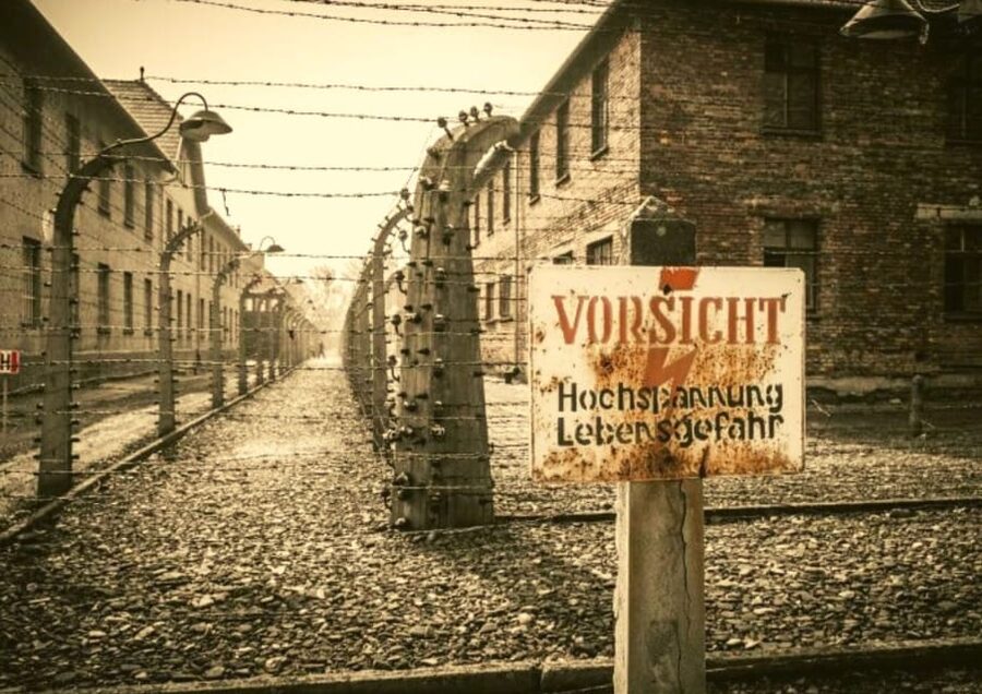 From Warsaw: Auschwitz Day Tour by Private Car with Lunch - The private ride from Warsaw