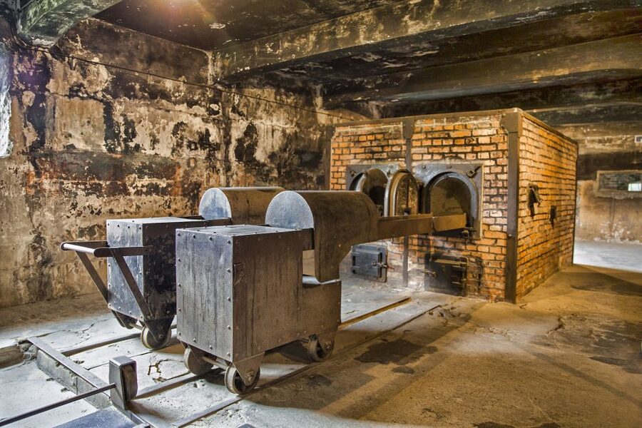From Warsaw: Guided Tour to Auschwitz-Birkenau and Krakow - The quality of the museum guide matters most