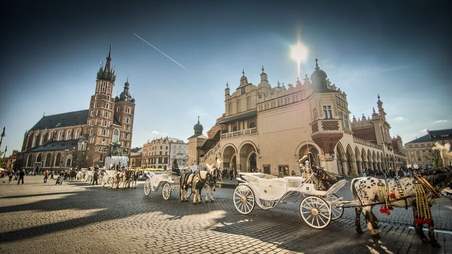 From Warsaw: Krakow Sightseeing Tour by Express Train - Practical Tips for a Long Krakow Day