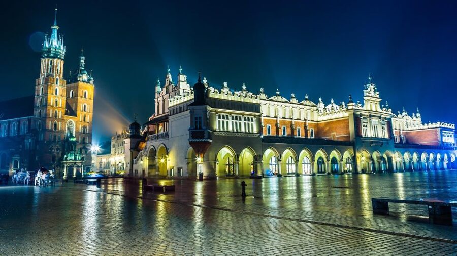 From Warsaw: Krakow Sightseeing Tour by Express Train - Wawel Castle and the Royal Cathedral