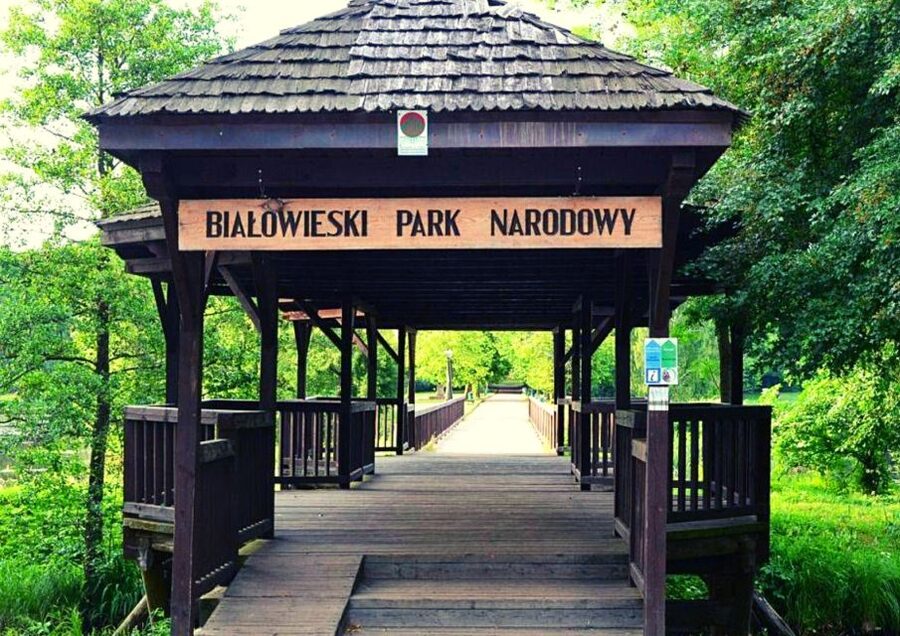 From Warsaw: Small-Group Tour to Bialowieza National Park - The strictly protected area and its three-hour walk