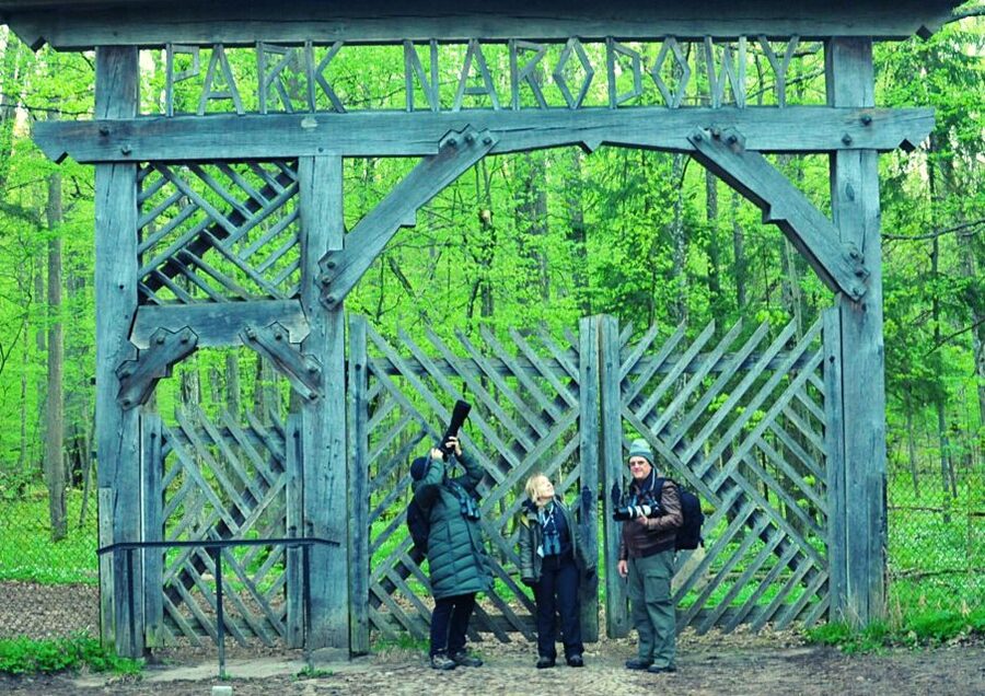From Warsaw: Small-Group Tour to Bialowieza National Park - Białowieża Towarowa and the tsar’s railway setting