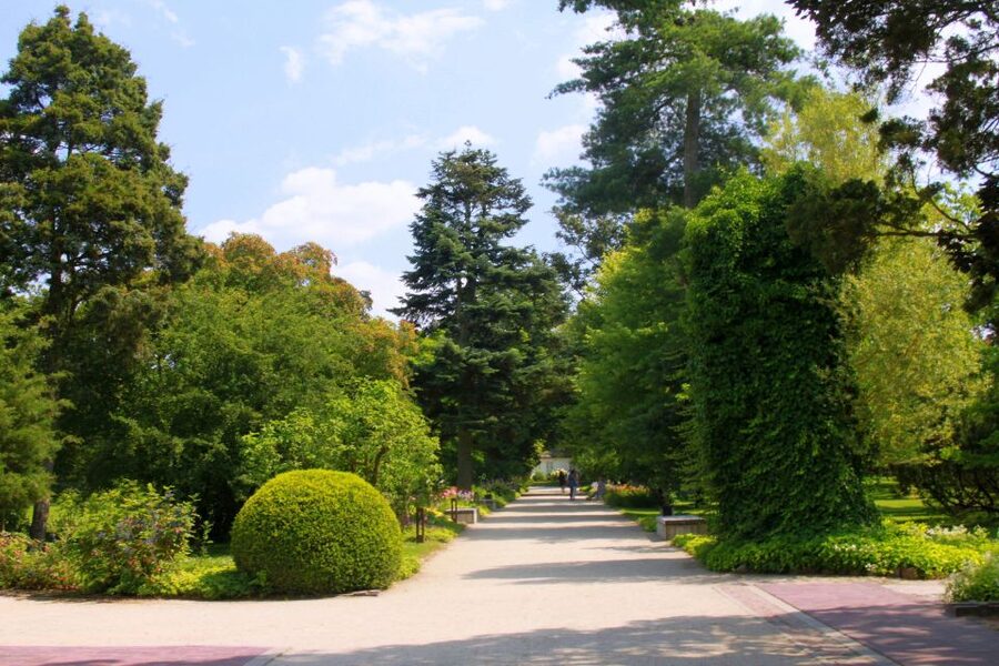 From Warsaw: Tour to Chopin's Birthplace - Żelazowa Wola - What the guides add to the day